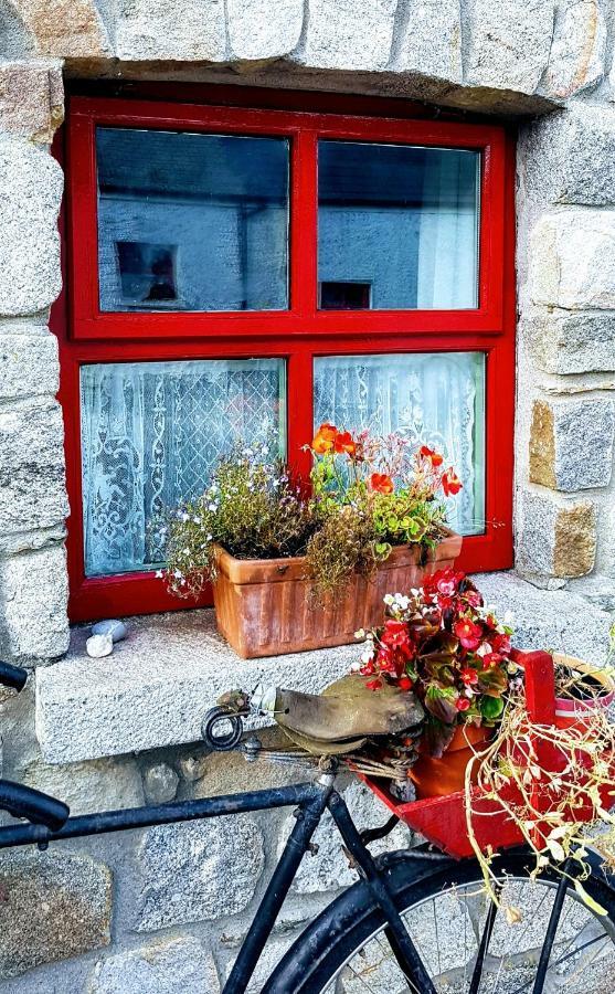Turrock Cottage Shillelagh Exteriér fotografie