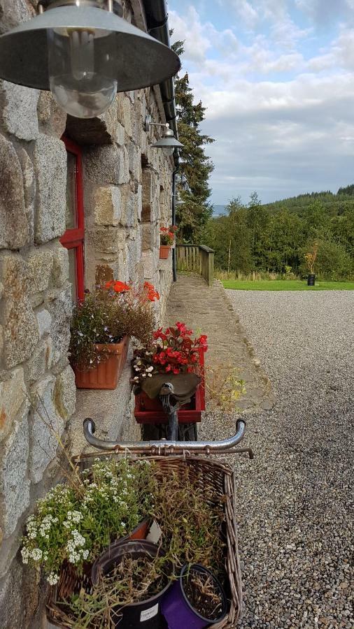 Turrock Cottage Shillelagh Exteriér fotografie
